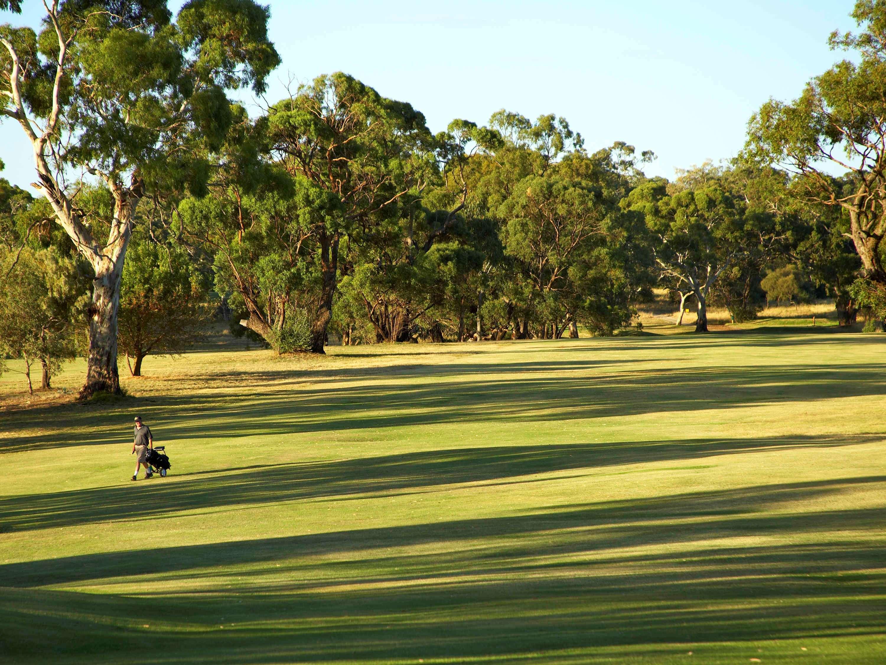 Novotel Barossa Valley Resort Rowland Flat Eksteriør billede
